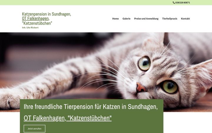 Screenshot of katzenpension-mv.de