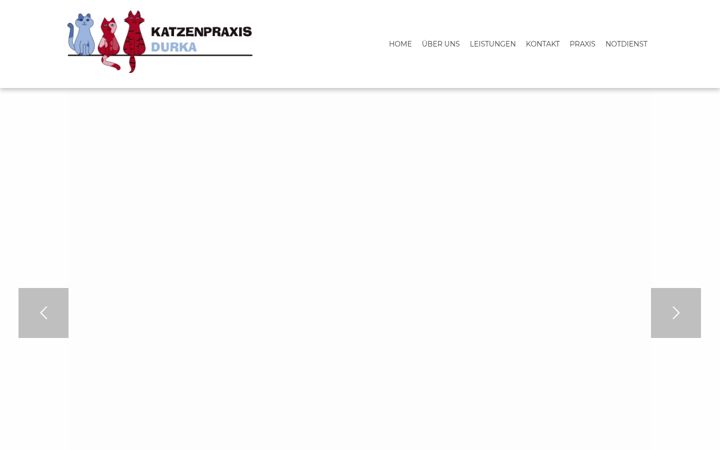 Screenshot of katzenpraxis-durka.de