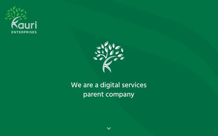Screenshot of kaurienterprises.com