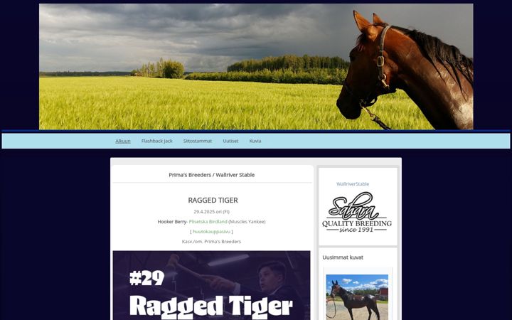 Screenshot of kaviokuume.com
