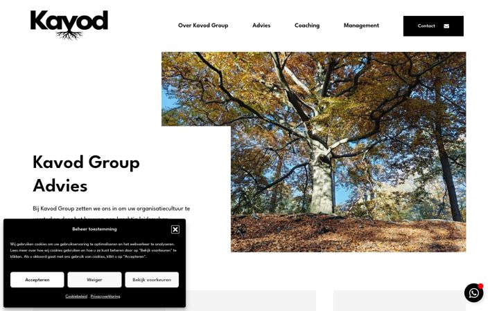 Screenshot of kavodgroup.nl
