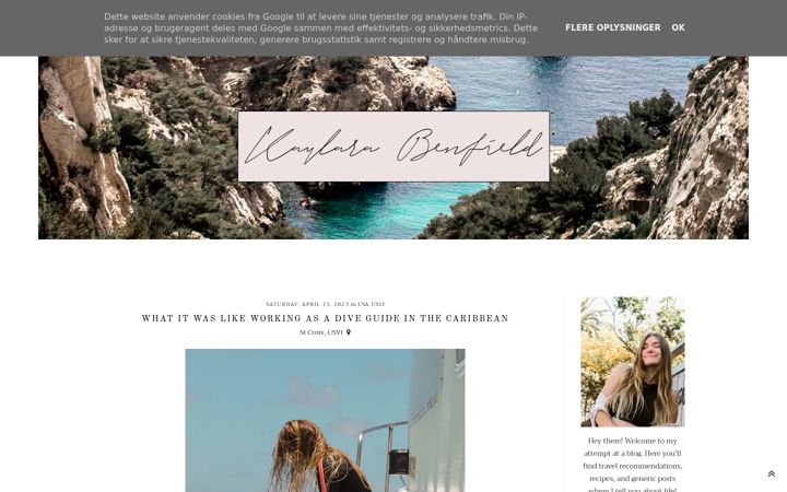 Screenshot of kaybenfield.com