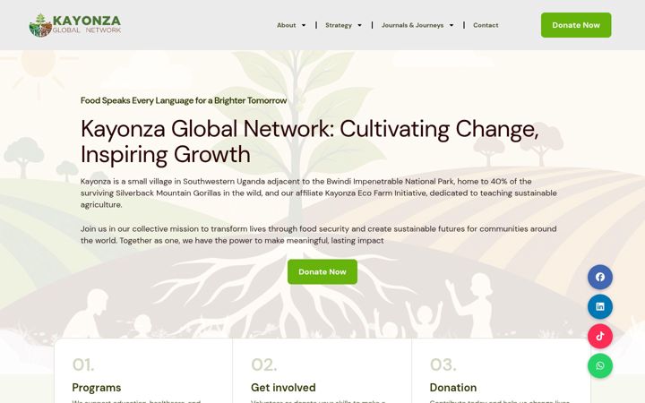 Screenshot of kayonzaglobalnetwork.org