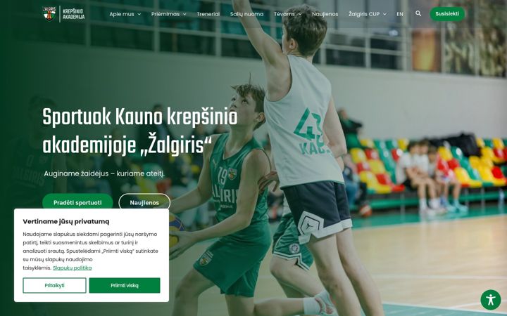 Screenshot of kazalgiris.lt