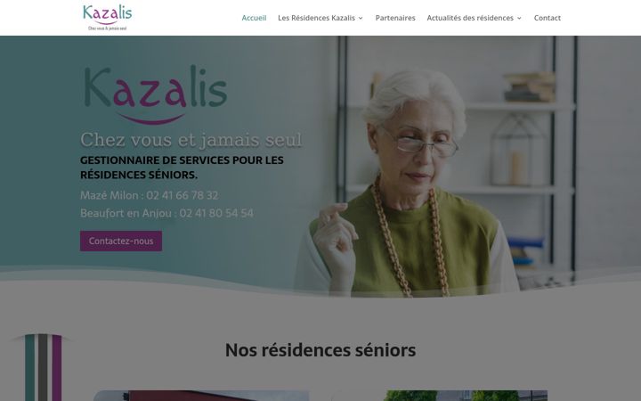 Screenshot of kazalis.fr