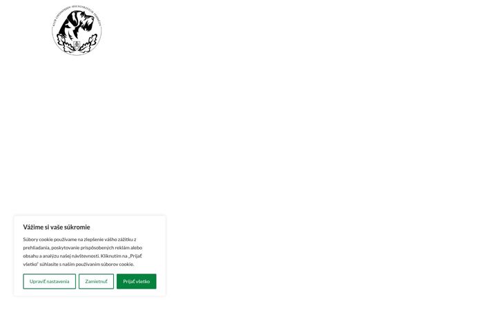 Screenshot of kchhs.sk