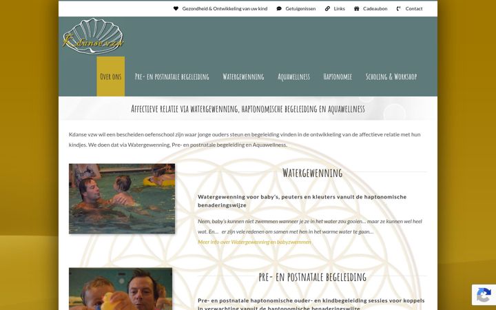 Screenshot of kdansevzw.be