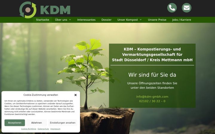 Screenshot of kdm-gmbh.com