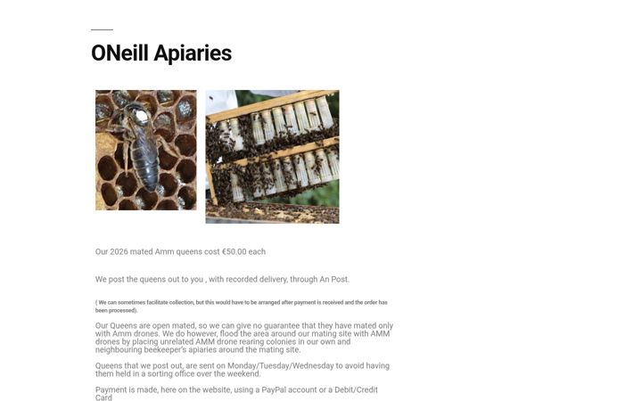 Screenshot of kebig.org