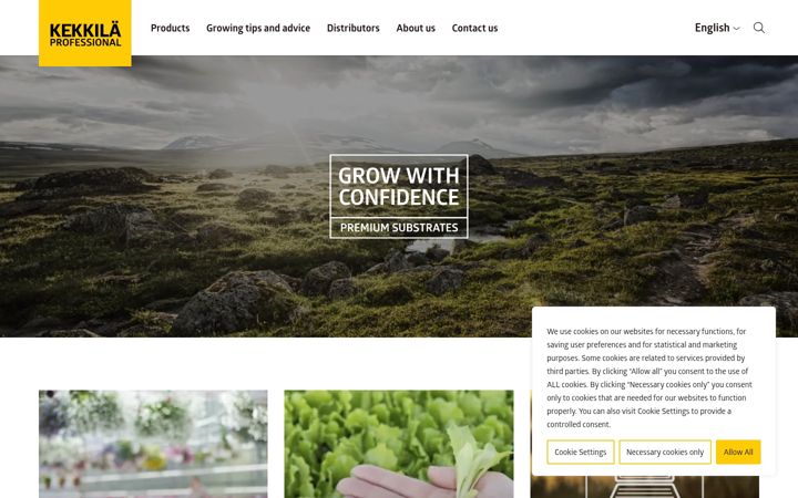 Screenshot of kekkilaprofessional.com