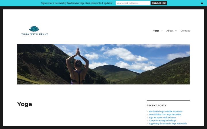 Screenshot of kellysheldrick.com