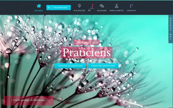 Captura de pantalla de kelpraticien.com