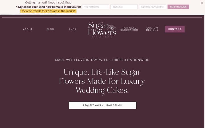Screenshot of kelsiecakes.com