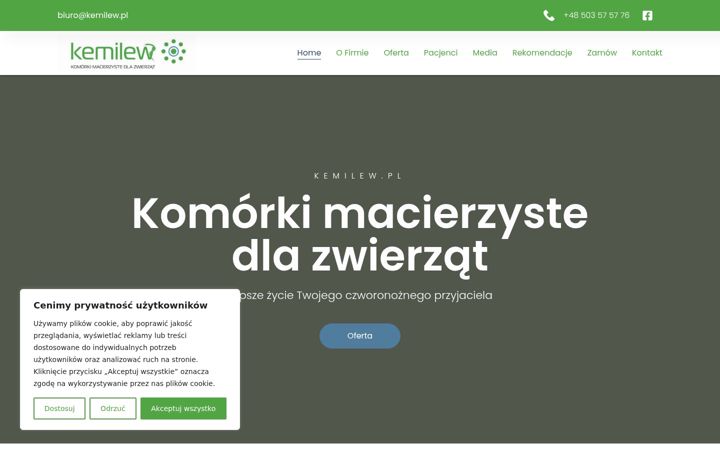 Screenshot of kemilew.pl
