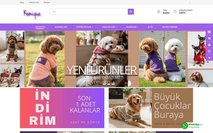 Screenshot of kemique.com