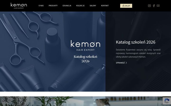 Screenshot of kemon.pl