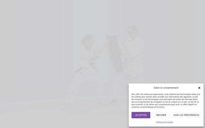 Screenshot of kempo-lausanne.ch