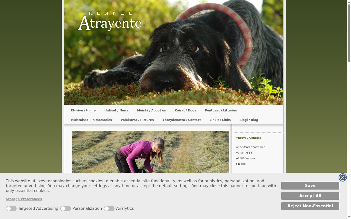 Captura de ecrã do banner de consentimento apresentado antes de qualquer interação