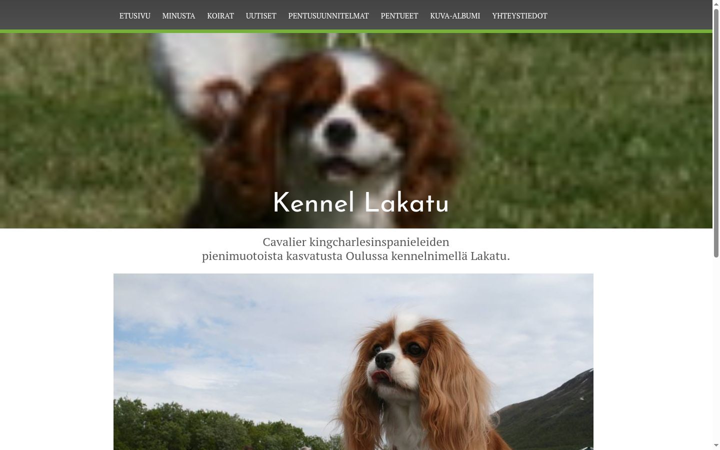 Sutikimo reklamjuostės, rodytos prieš bet kokią sąveiką, ekrano kopija
