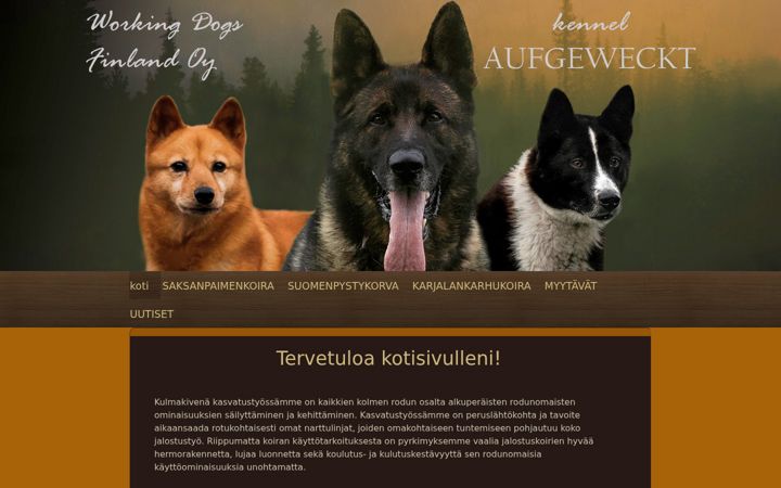 Screenshot of kennelaufgeweckt.net