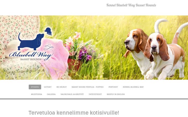 Screenshot of kennelbluebellway.com