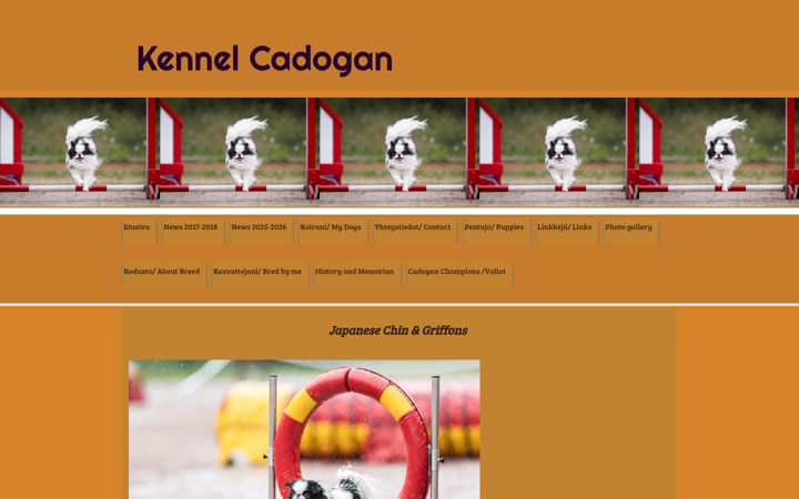 Screenshot of kennelcadogan.net