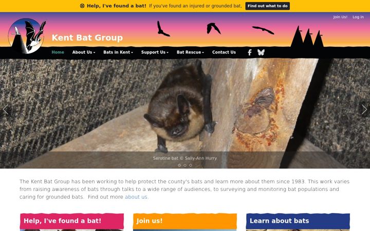 Screenshot of kentbatgroup.uk