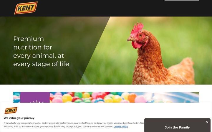 Screenshot of kentfeeds.com