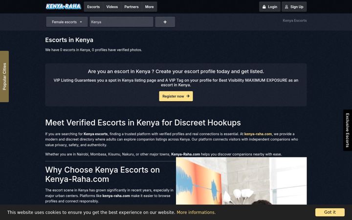 Screenshot of kenya-raha.com