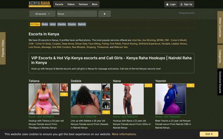 Screenshot of kenyaraha.com