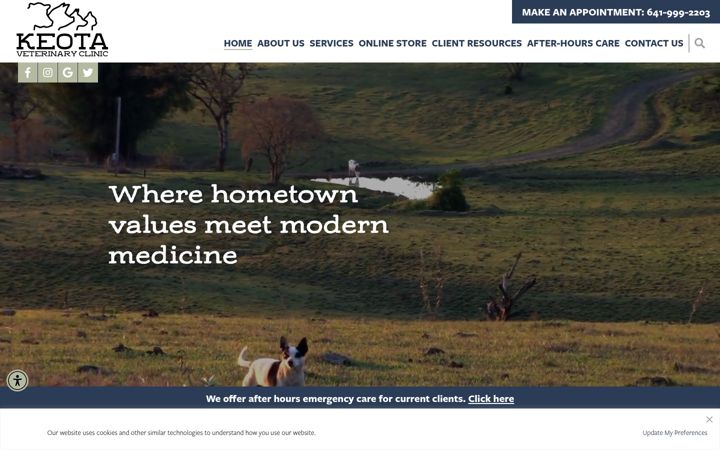 Screenshot of keotavetclinic.com