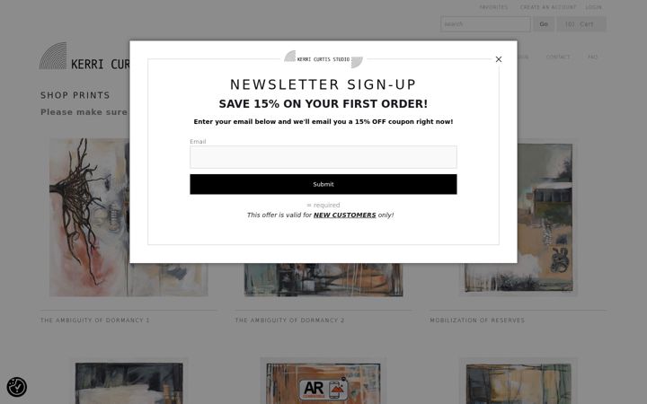 Screenshot of kerricurtisstudio.com