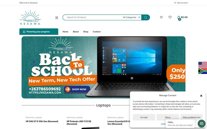 Screenshot of kesawa.com