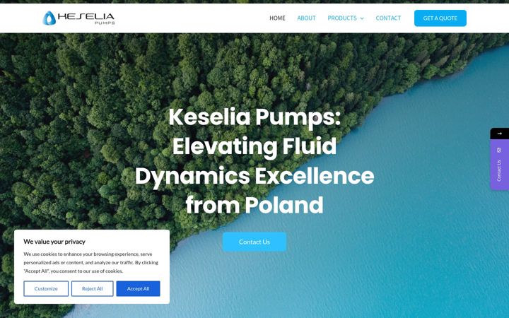 Screenshot of keseliapumps.com