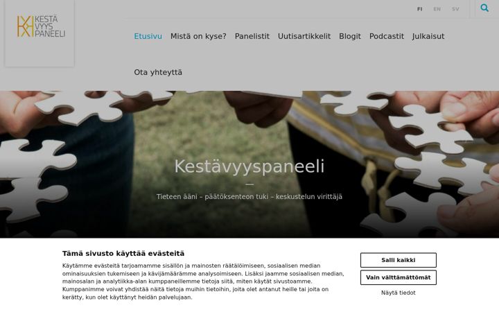 Screenshot of kestavyyspaneeli.fi