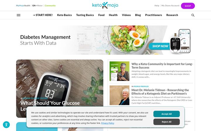 Screenshot of keto-mojo.com