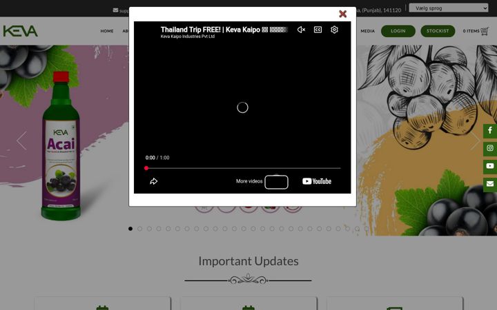 Screenshot of kevaind.org