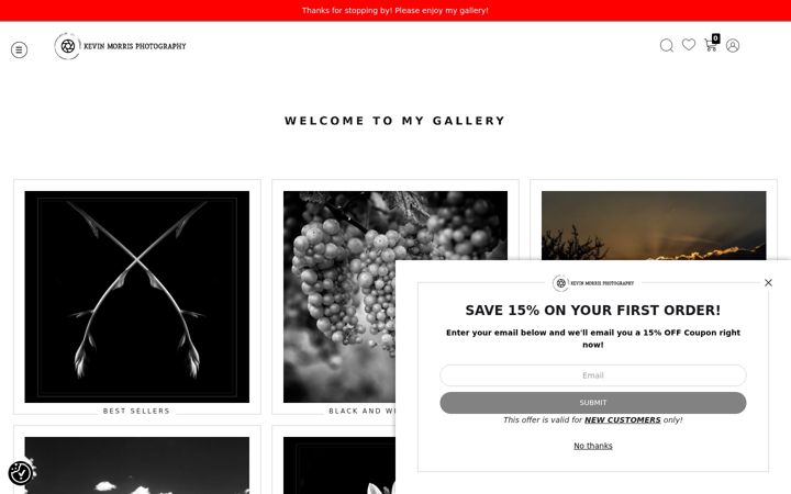Screenshot of kevinmorrisphotography.com