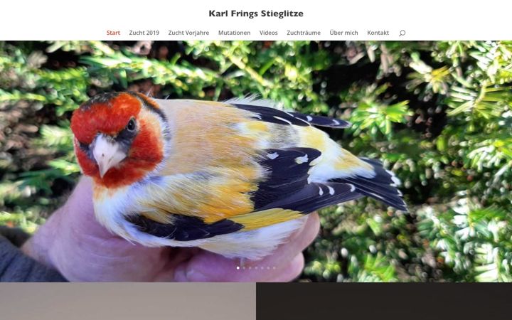 Screenshot of kf-stieglitze.de