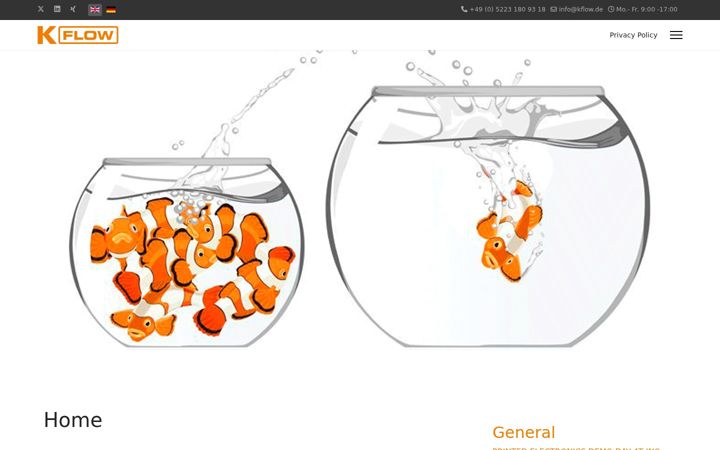 Screenshot di kflow.de