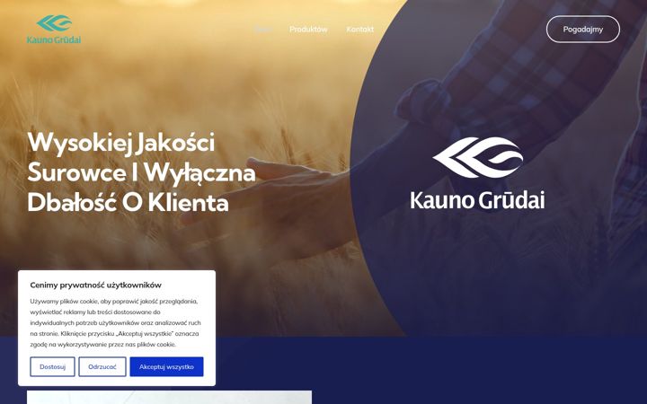 Screenshot of kgpolska.pl