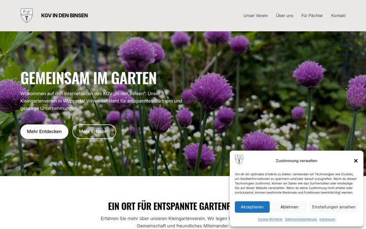 Screenshot of kgv-in-den-binsen.de