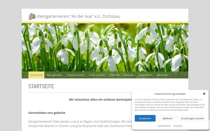 Screenshot of kgv-zschopau-anderaue.de