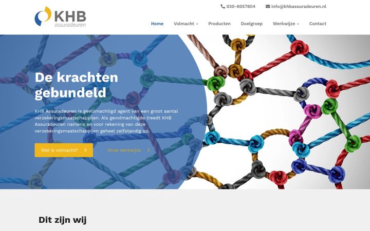 Screenshot of khbassuradeuren.nl