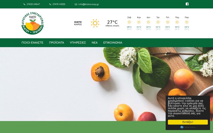 Screenshot of kiatocoop.gr