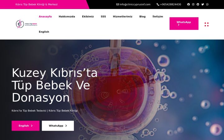 Screenshot of kibristupbebekklinigi.com