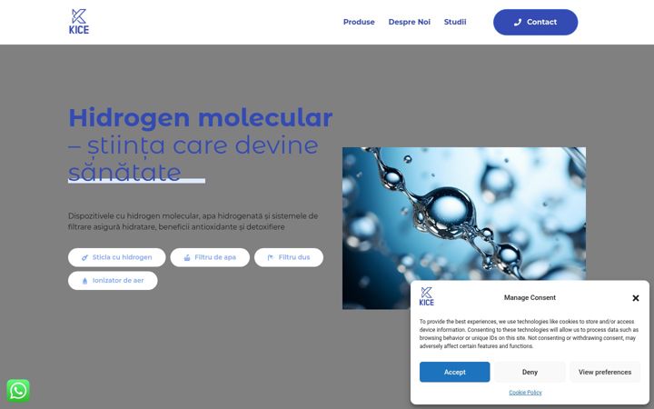 Screenshot of kice.ro