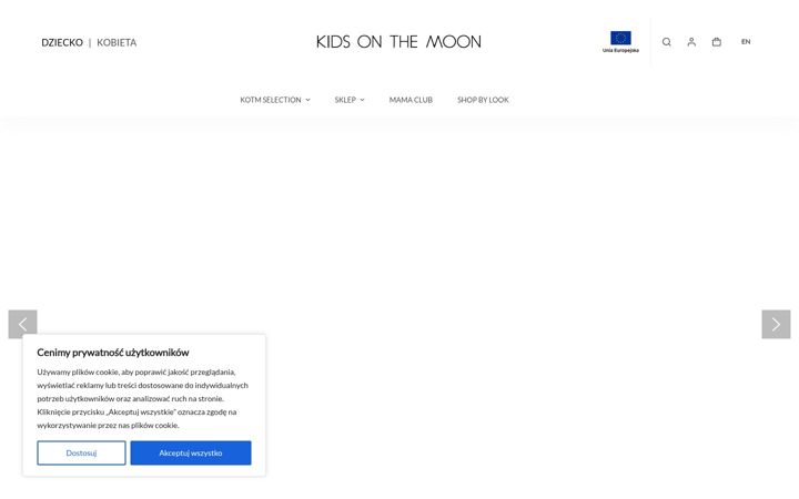Screenshot of kidsonthemoon.com