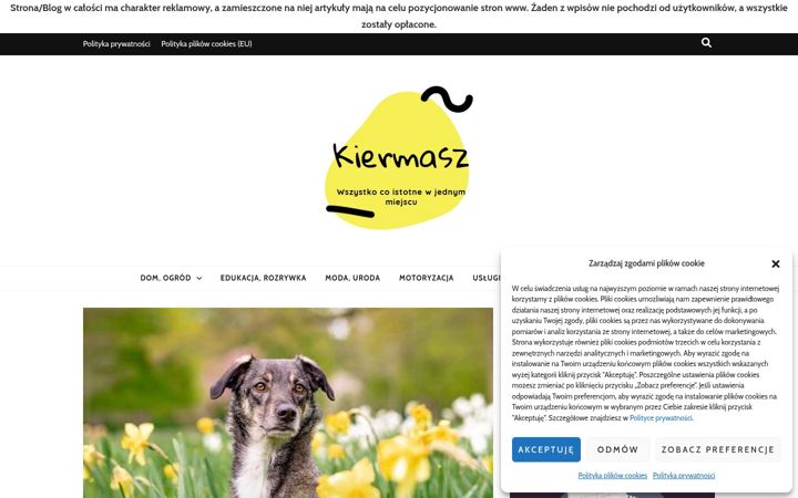 Screenshot of kiermasz-ksiazki.pl