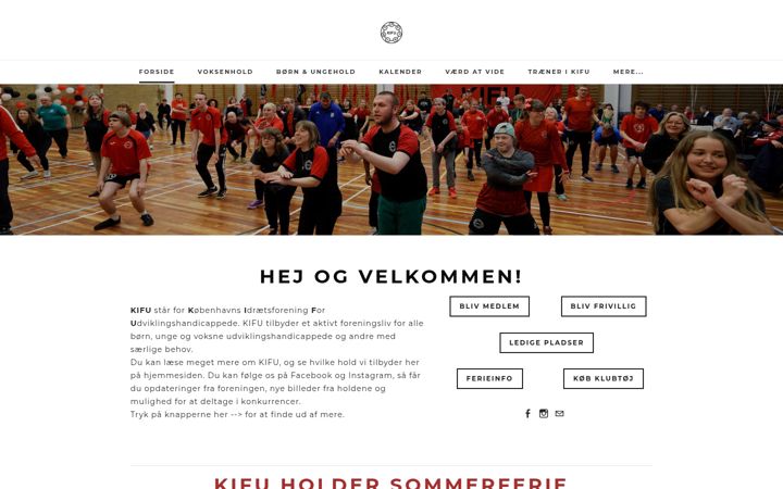 Screenshot of kifu.dk
